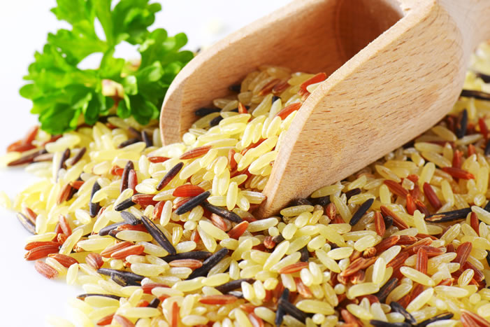 Wild Rice Plant-Based Protein Foods