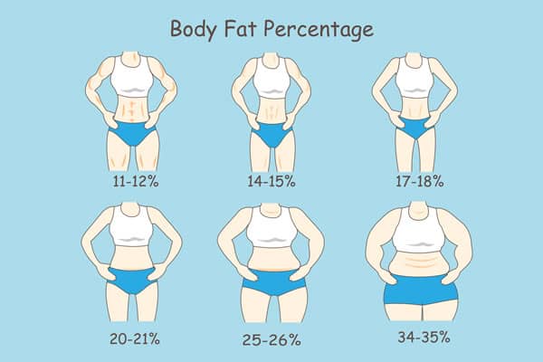 Body Fat Levels 